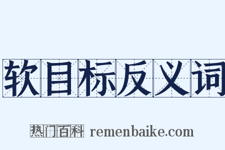 软目标反义词是什么意思的图片